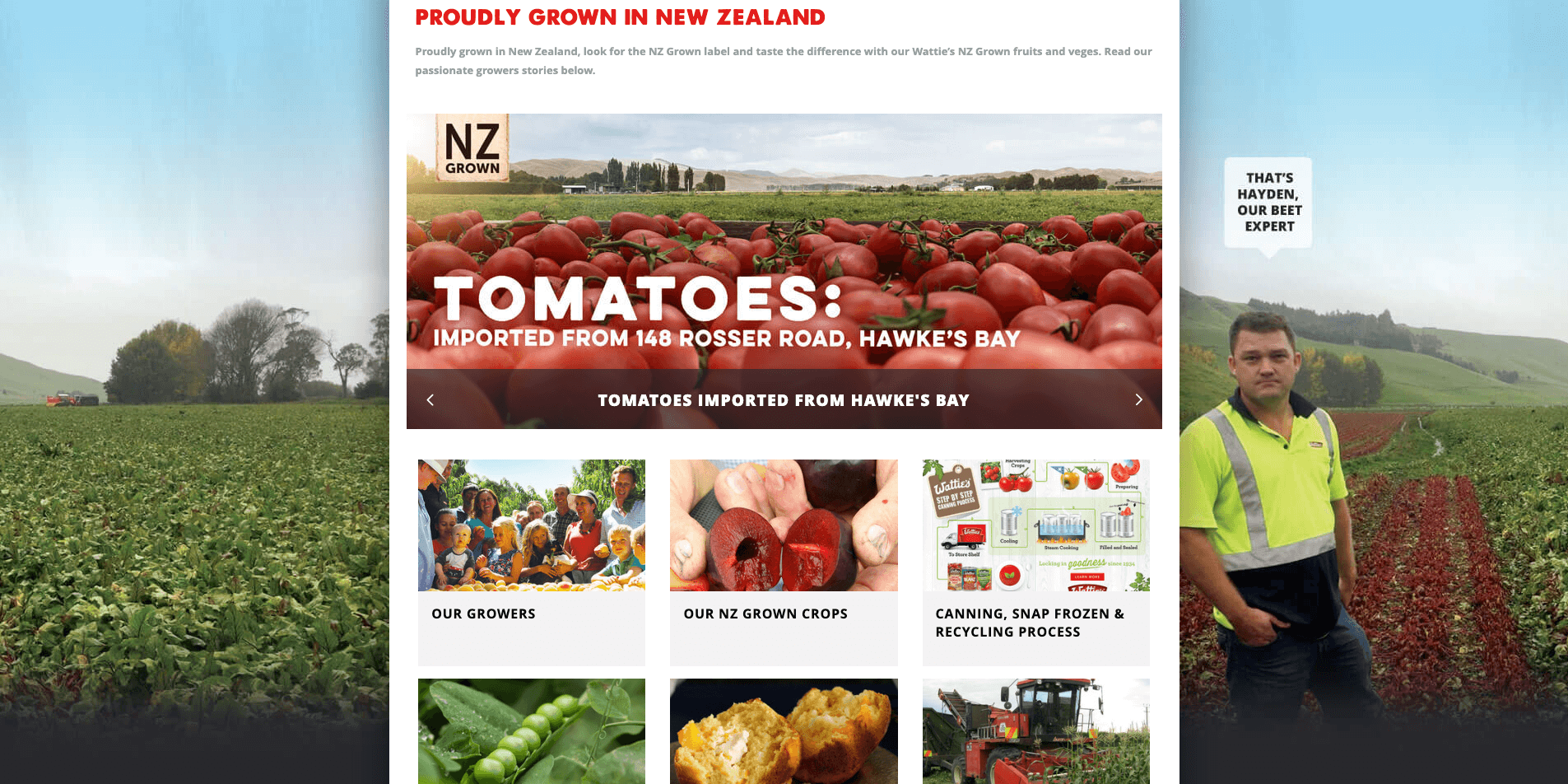 Wattie's Case Studies Clearfield Software Ltd